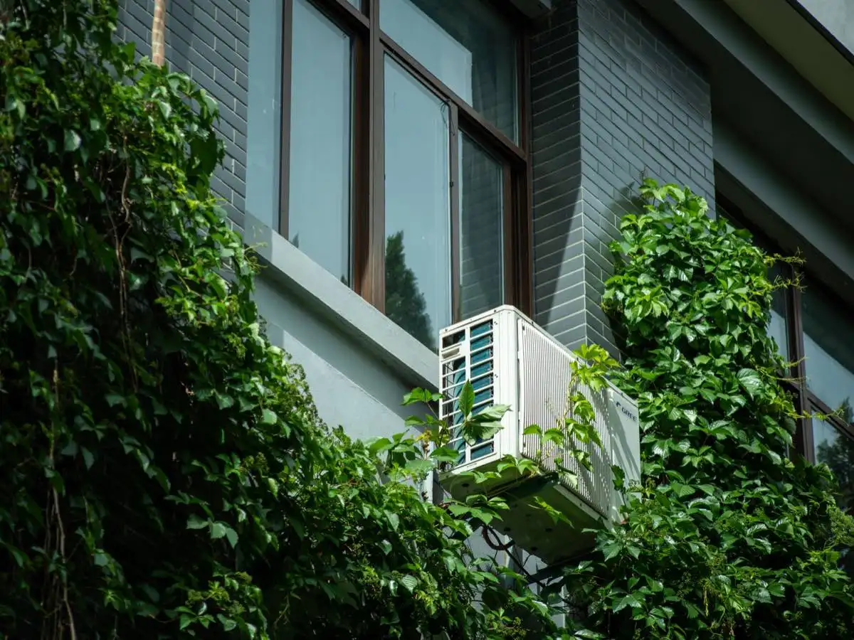 Energy-Efficient Windows for a Shaded Lot in Tyler, TX